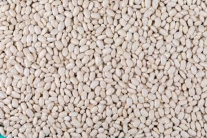 Haricot Beans