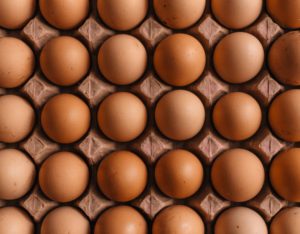 Egg